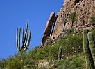photo thumbnail #14