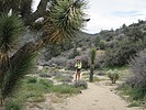 photo thumbnail #2