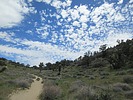 photo thumbnail #10