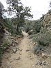 photo thumbnail #13