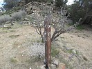 photo thumbnail #14