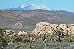 2023-04-11 :2: Ryan Mountain :: tibber