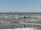 photo thumbnail #12