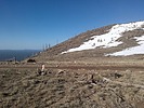 photo thumbnail #8