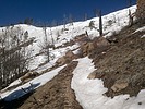 photo thumbnail #11
