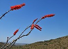 photo thumbnail #9