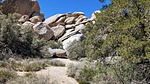 photo thumbnail #6