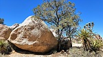 photo thumbnail #4