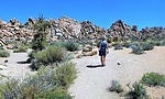 photo thumbnail #13