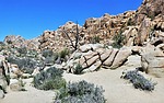 photo thumbnail #15