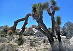 photo thumbnail #14