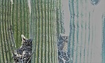 photo thumbnail #9