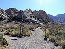photo thumbnail #3
