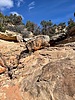 photo thumbnail #3