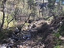 photo thumbnail #1