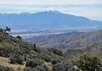 2023-04-11 :2: Cap Rock Nature Trail :: tibber