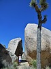 photo thumbnail #12