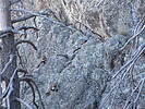 photo thumbnail #5