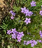 2023-04-22 :1: Agua Fria National Monument :: johnlp