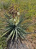 2023-04-22 :1: Agua Fria National Monument :: johnlp