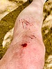 photo thumbnail #1