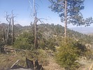 photo thumbnail #8