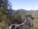 photo thumbnail #4