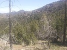 photo thumbnail #11