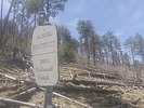 photo thumbnail #14