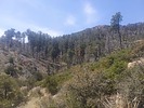 photo thumbnail #15