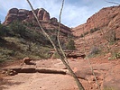 photo thumbnail #4