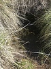 Featured Detail Photo
