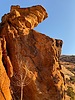 photo thumbnail #12