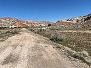 photo thumbnail #8