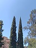 photo thumbnail #10