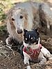 photo thumbnail #11