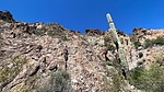 photo thumbnail #4