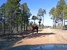 photo thumbnail #10