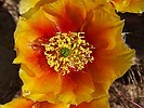 photo thumbnail #10