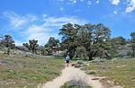 photo thumbnail #13