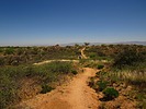 photo thumbnail #15