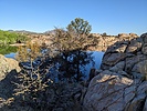 photo thumbnail #6