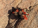 photo thumbnail #9