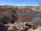 photo thumbnail #5