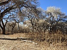 photo thumbnail #11