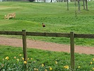 photo thumbnail #15
