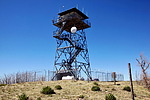 photo thumbnail #8