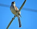 photo thumbnail #10
