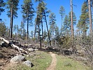 photo thumbnail #2