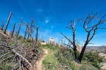 photo thumbnail #1